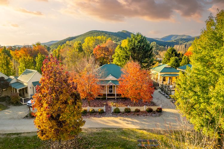 Autumn Beauty – Garden Cottage 4