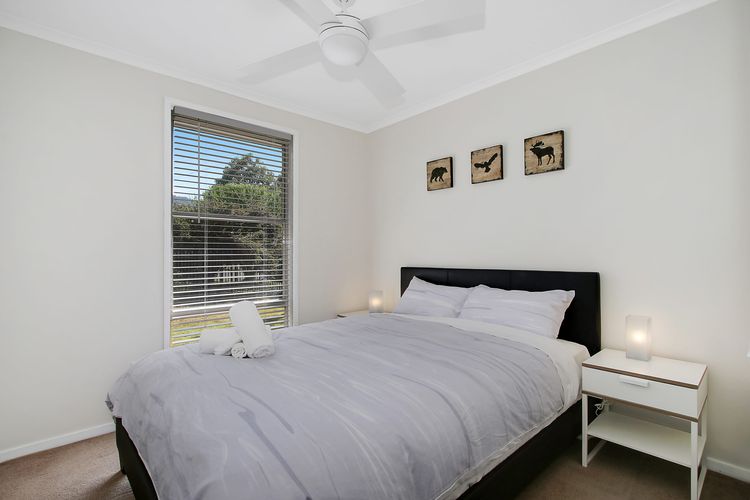 Acaronar- Great value for money