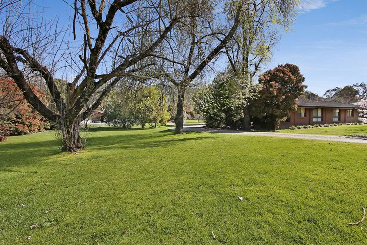 Kalamunda 6 – On the Rail Trail