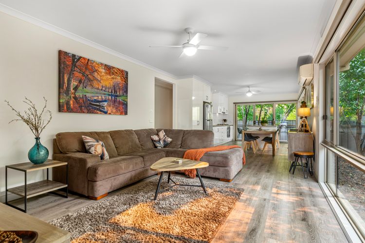 Bright Delight – Modern Luxury