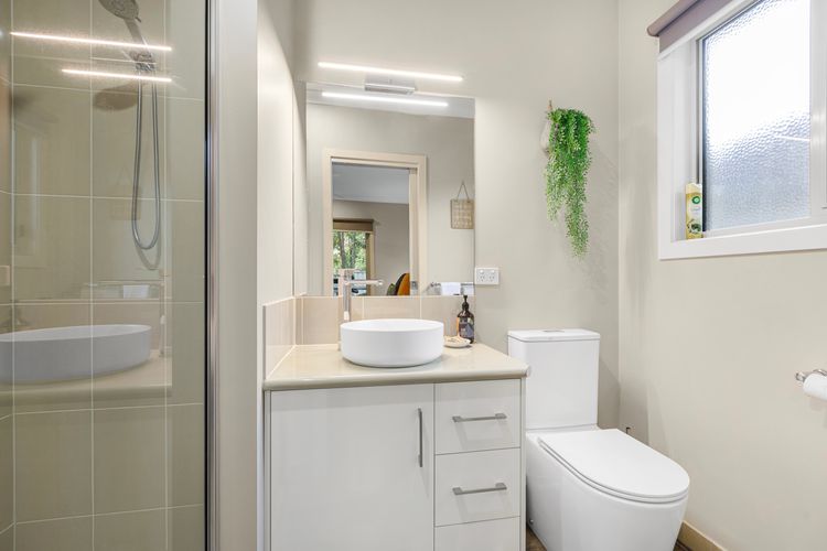 Bright Delight – Modern Luxury