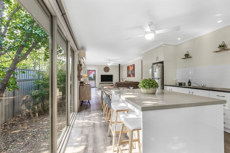 Bright Delight – Modern Luxury