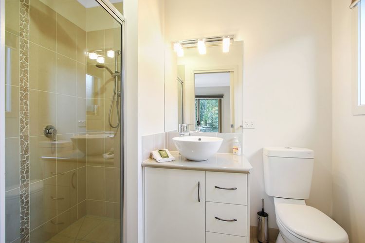 Bright Delight – Modern Luxury