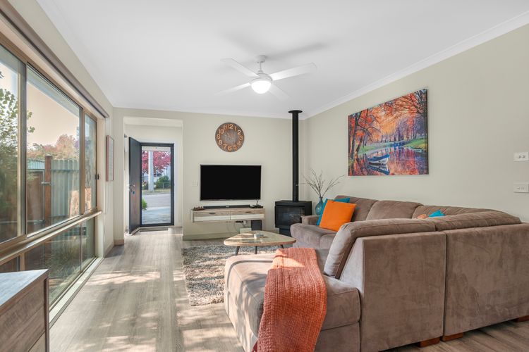 Bright Delight – Modern Luxury
