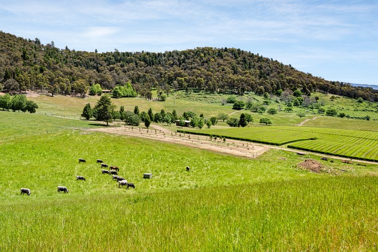 Studio @ Quins Gap Retreat