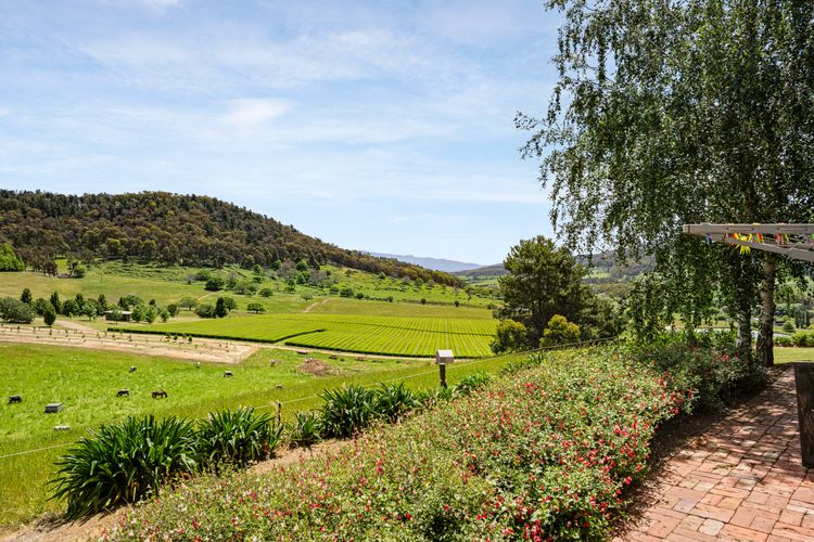 Studio @ Quins Gap Retreat