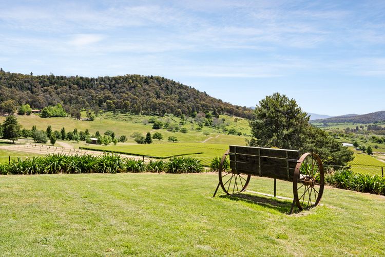 Studio @ Quins Gap Retreat