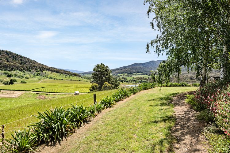 Studio @ Quins Gap Retreat