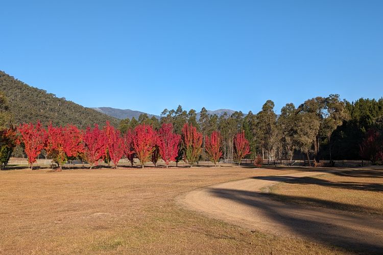 Feathertop Views and Barn