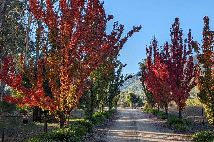 Feathertop Views and Barn