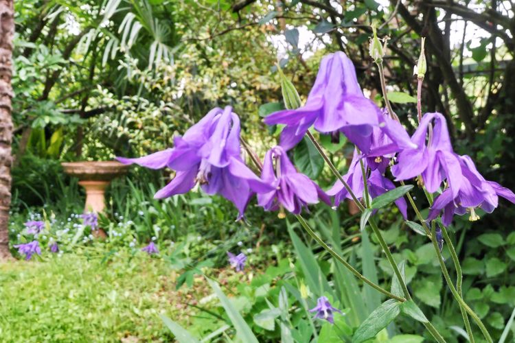 Redruth – 2 bedroom cottage situated in wandiligong