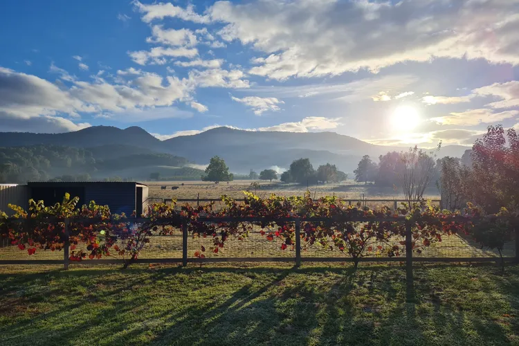 Mount Porepunkah Views