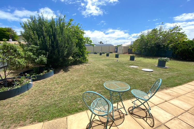 The Blue Bunyip – 3 Bunyip St , Goolwa South