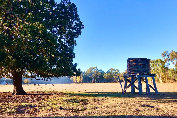 Breathe Holiday Retreat – 107 Nettle Hill Rd, Hind