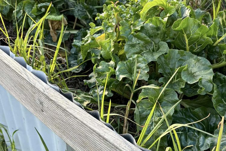 Breathe Holiday Retreat – 107 Nettle Hill Rd, Hind