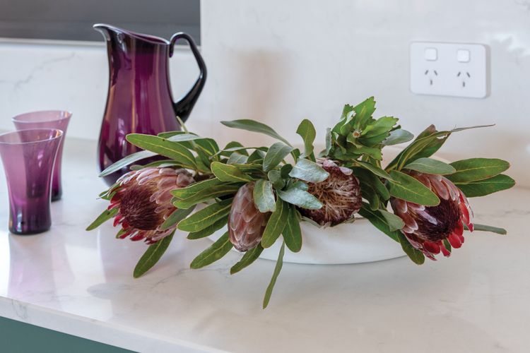 Hempcrete Haven, 6 Musk Duck Ave, Chiton