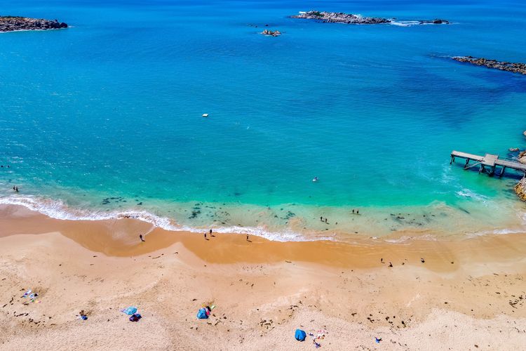 Pet Friendly in Port Elliot