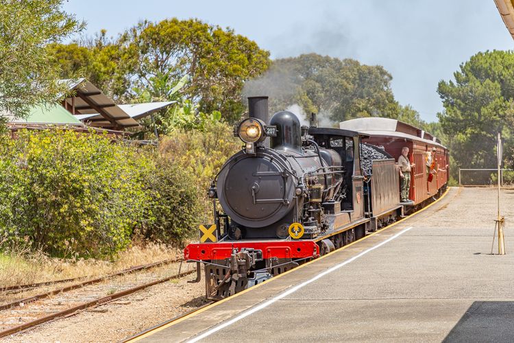 Pet Friendly in Port Elliot