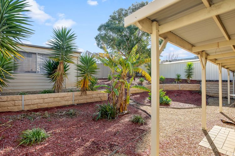 Moet Escape in Style