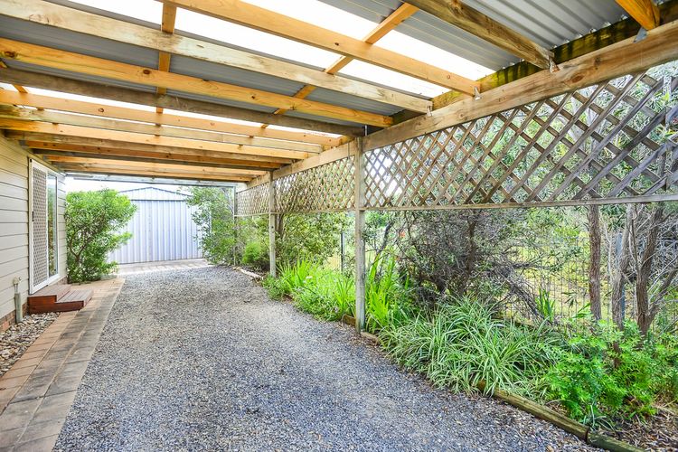 Welcome to Blue Citrus