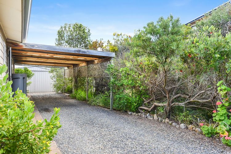 Welcome to Blue Citrus