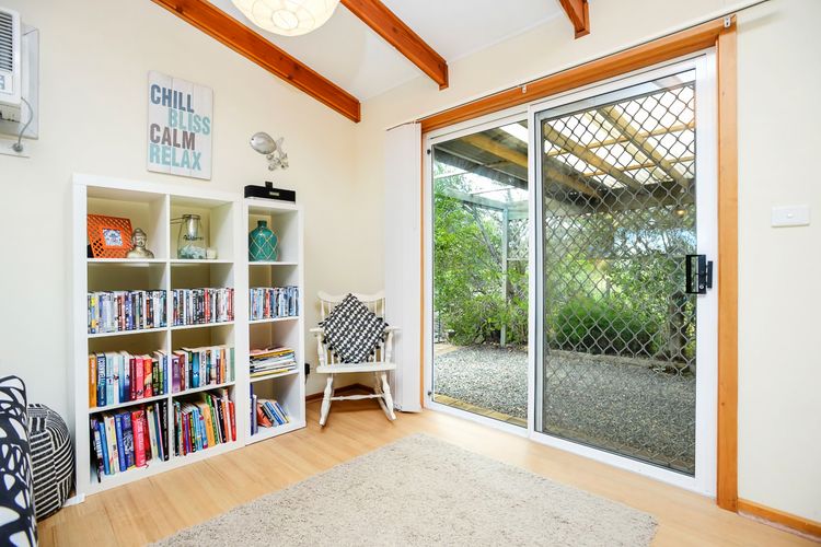 Welcome to Blue Citrus