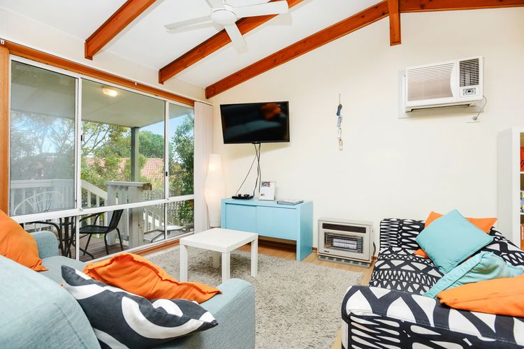 Welcome to Blue Citrus