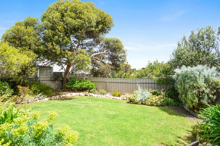 Welcome to Blue Citrus