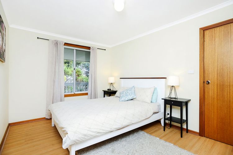 Welcome to Blue Citrus