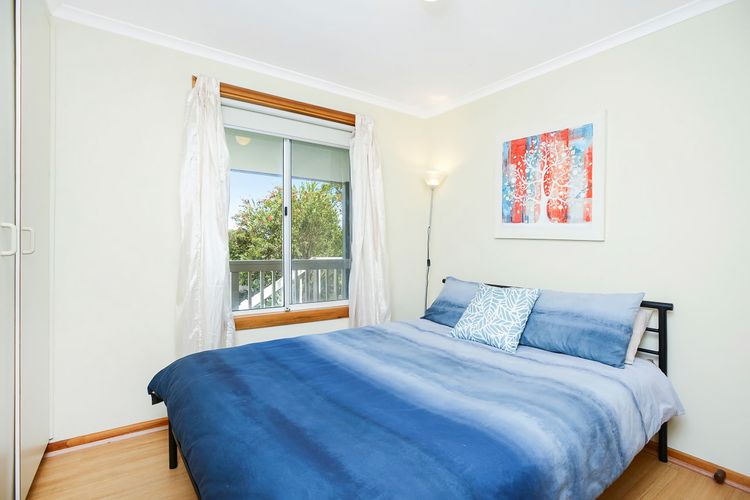 Welcome to Blue Citrus