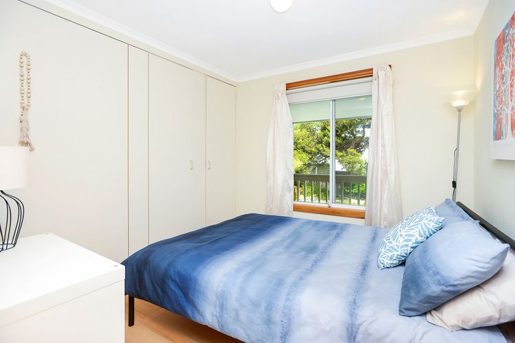 Welcome to Blue Citrus