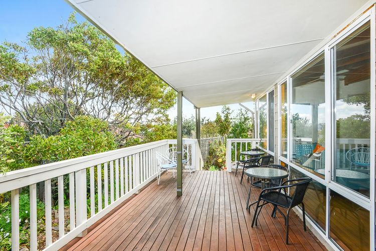 Welcome to Blue Citrus