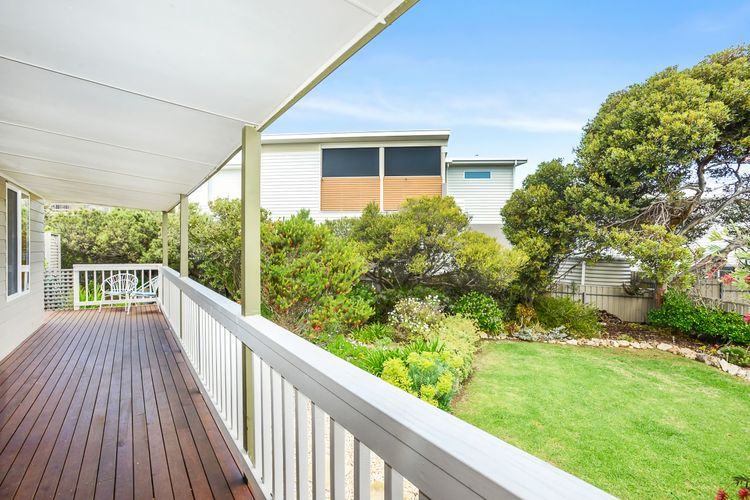 Welcome to Blue Citrus