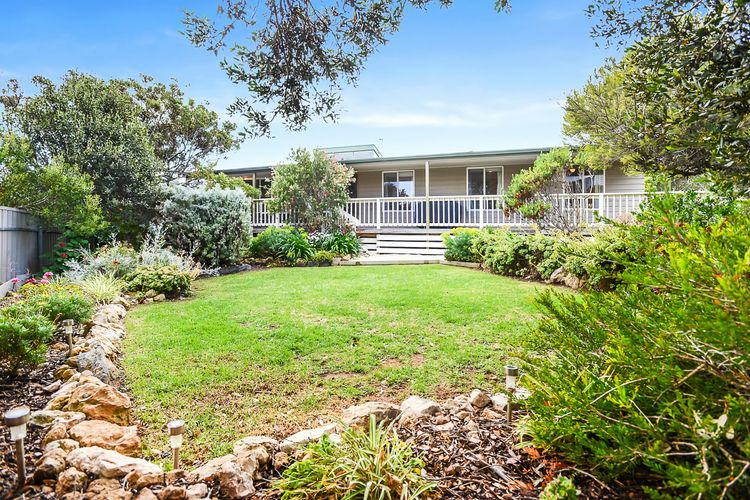 Welcome to Blue Citrus