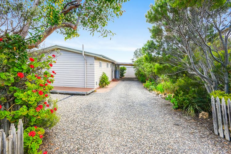 Welcome to Blue Citrus