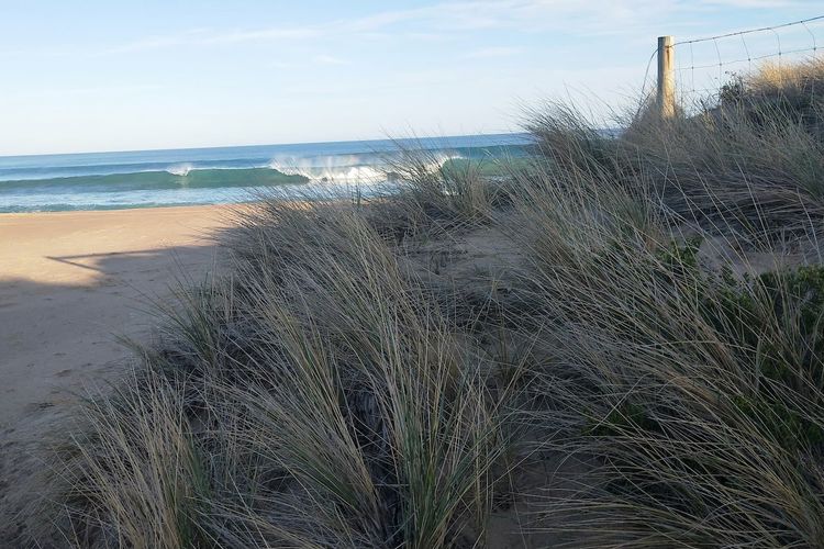 Great Holiday Home Pets Welcome