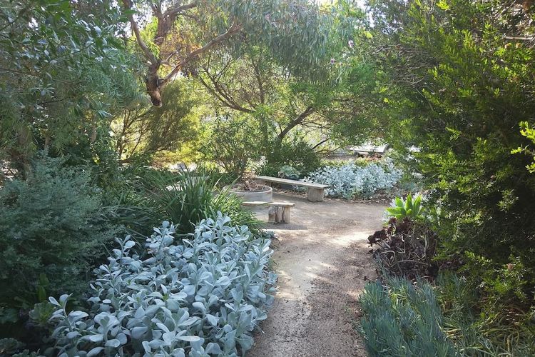 Great Holiday Home Pets Welcome