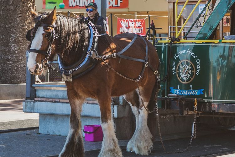 412/162 Hindmarsh Rd, Victor Harbor