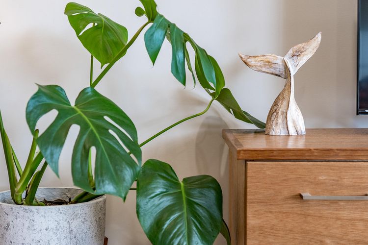 7 Passatt St, Encounter Bay