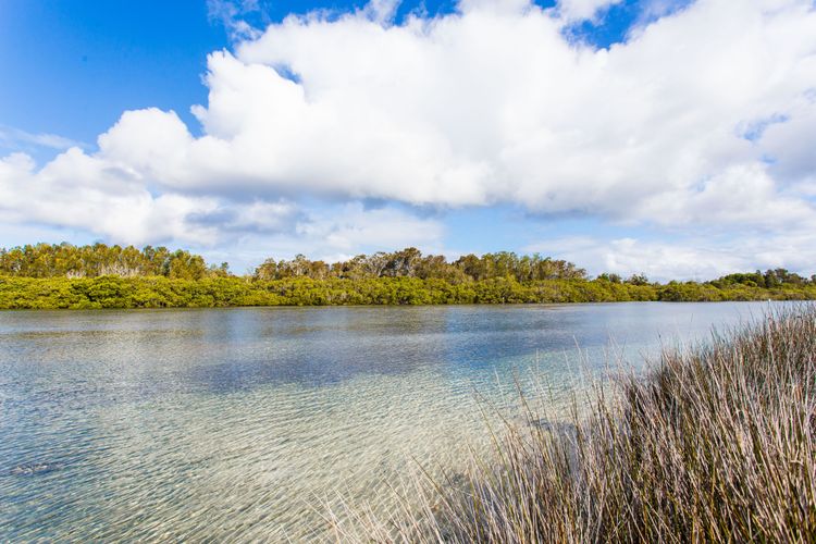 Waterside at Point Road