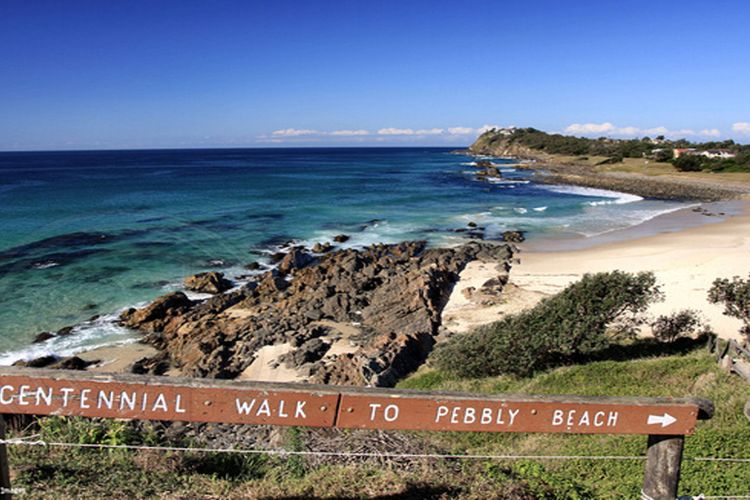 Coral Sands 3 – Pebbly Beach