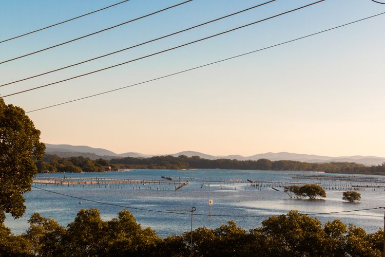 Island View 4 -Opposite Wallis Lake!