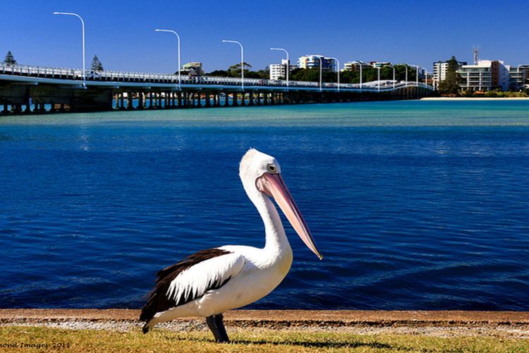 Parkside Marina 1 – CBD Location