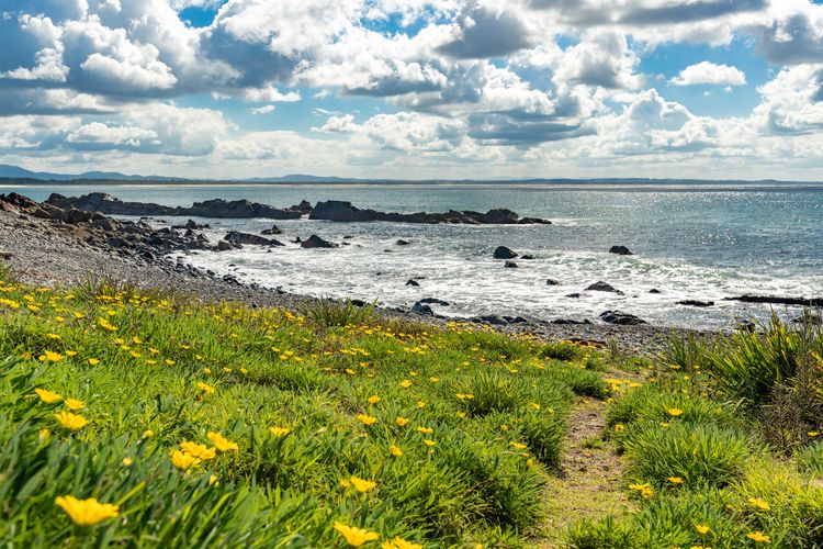 Sandpebbles 1 – Pebbly Beach