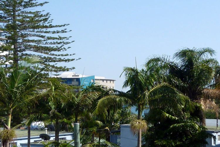 Twin Pines 301 – CBD Location