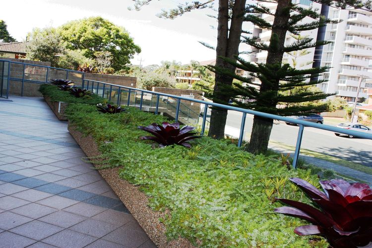 Twin Pines 401 – CBD Location