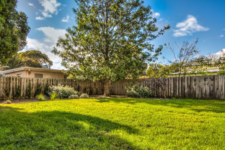 Beach Retreat on Koala