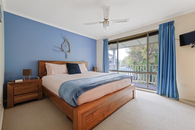 Purple Goose at Red Rocks