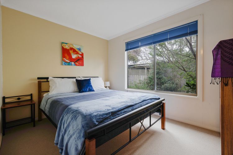 Purple Goose at Red Rocks