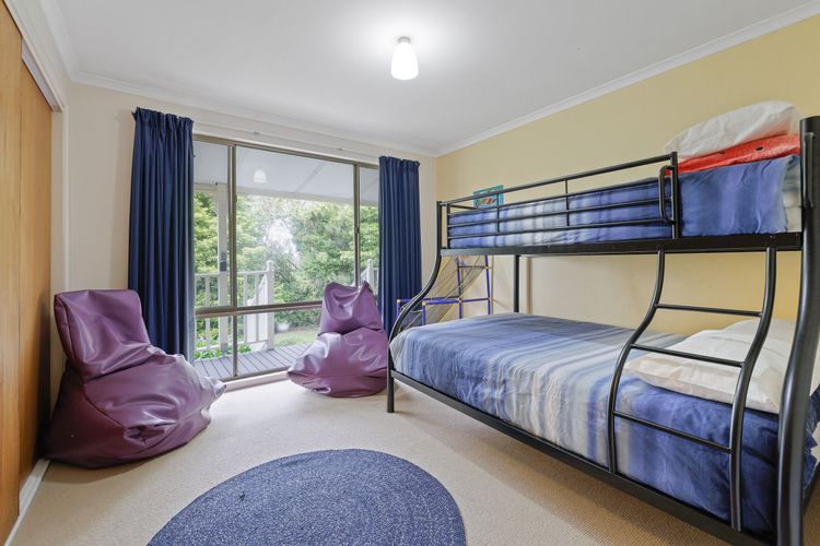 Purple Goose at Red Rocks